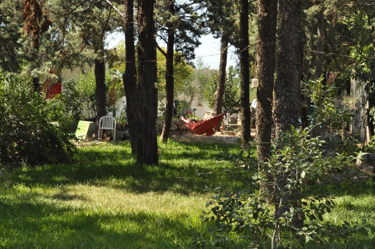 Villa Parco Alta Murgia Касано деле Мурдже Екстериор снимка